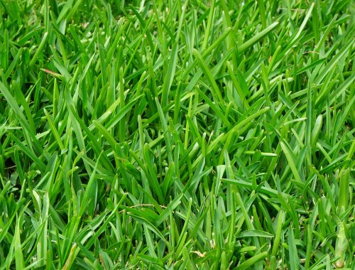 Gespa artificial reciclada